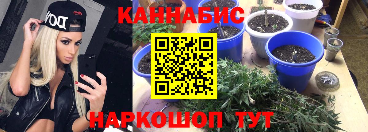 Конопля планчик Полысаево